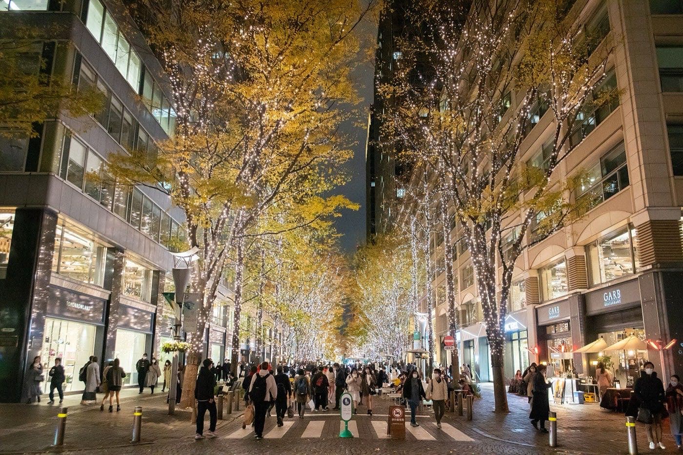 Marunouchi Illumination in Tokyo